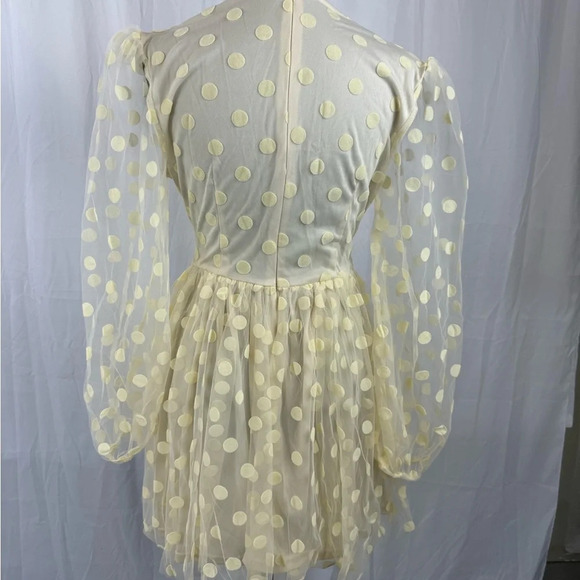 NWT Plunging Neck Polka Dot Mesh Skater Dress Size Small - Picture 4 of 6
